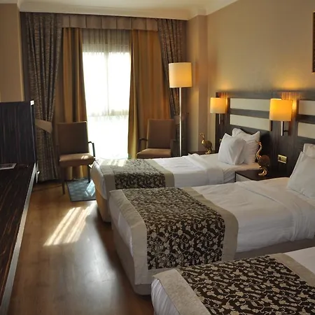 호텔 악군 베야지트 4*